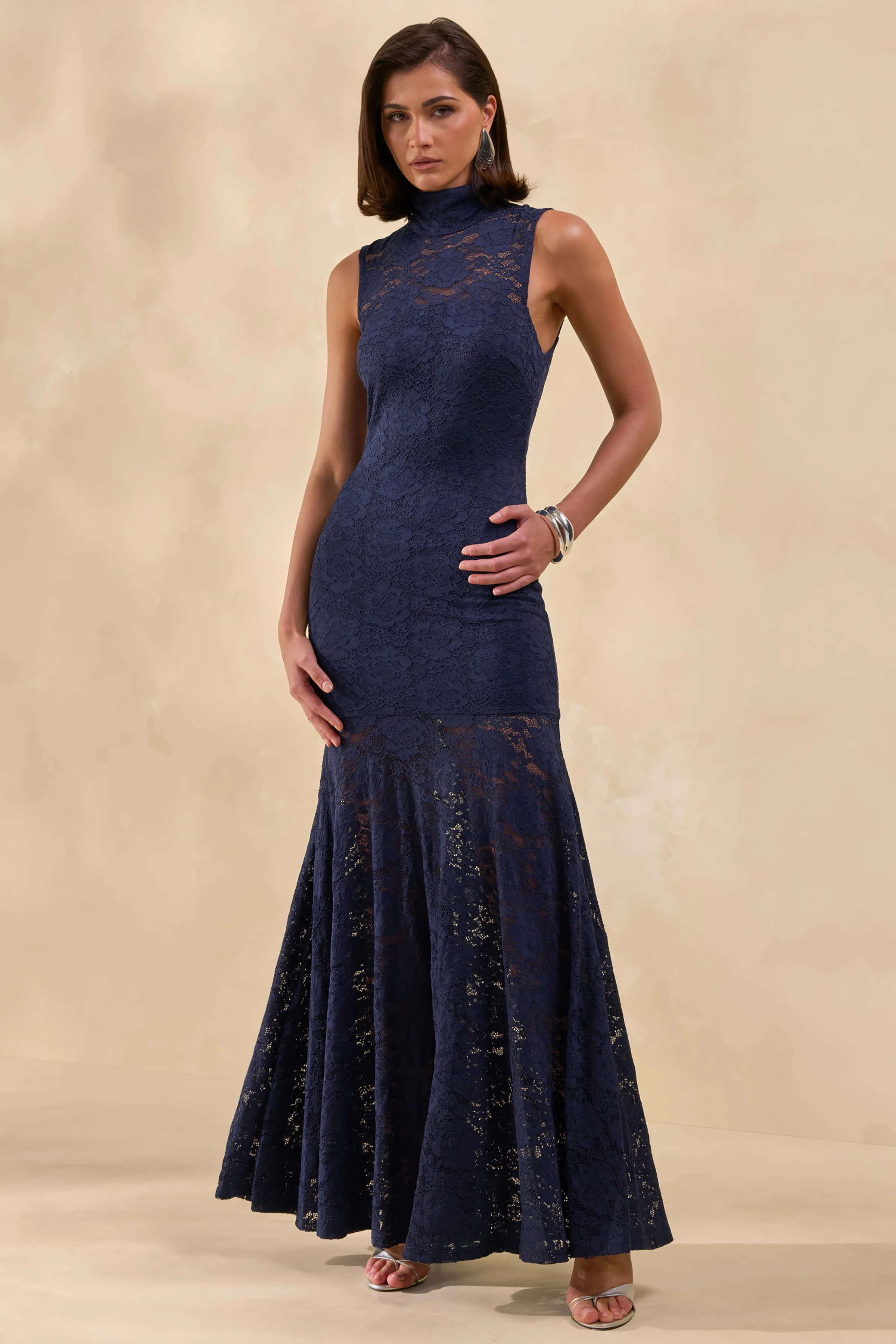 Esalyn | Navy Lace High-Neck Maxi Dress With Sheer-Skirt - Image 4
